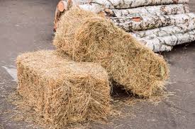 Bale of Straw