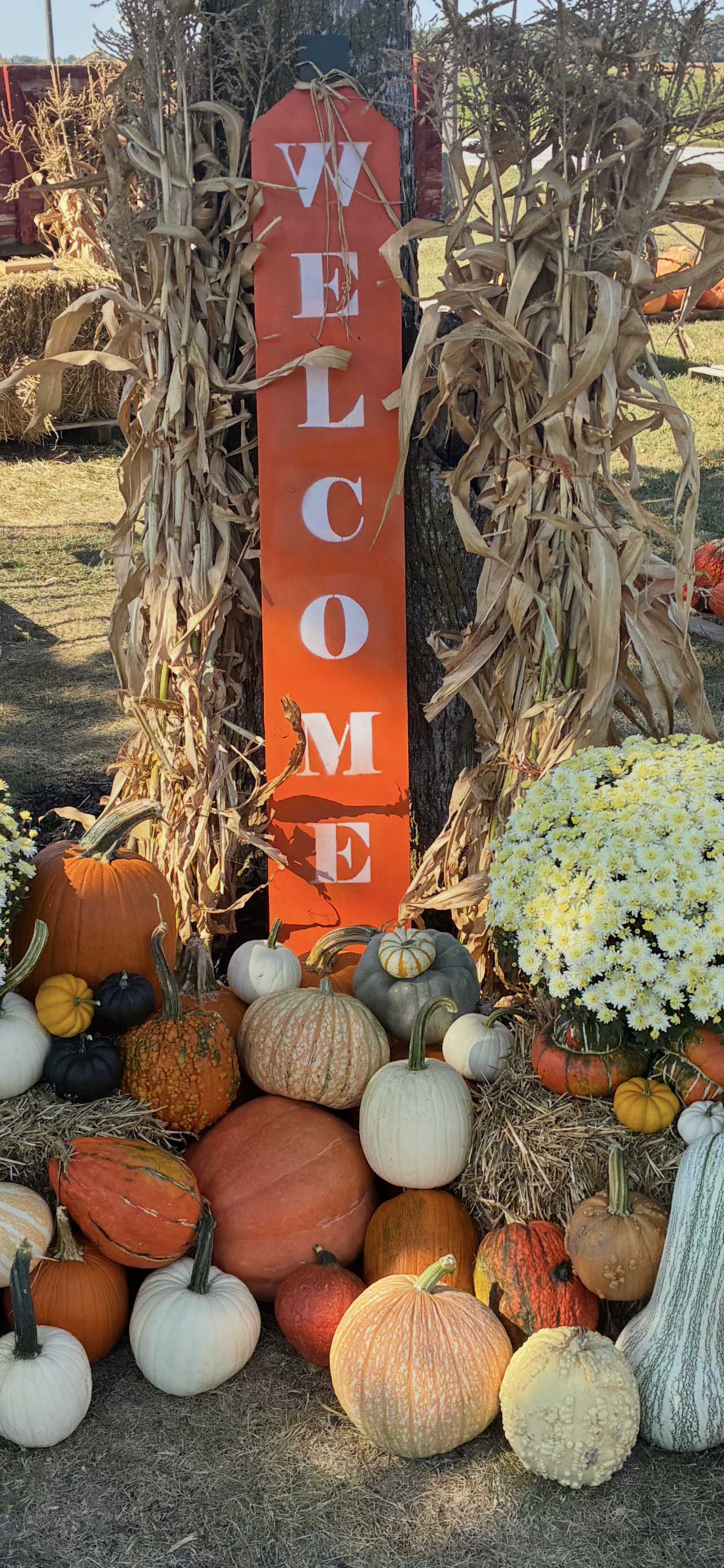 Welcome Sign