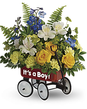 Welcome Wagon - It's a Boy or It's a Girl! Floral Arrangement