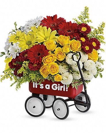 Welcome Wagon - It's a Boy or It's a Girl! Floral Arrangement