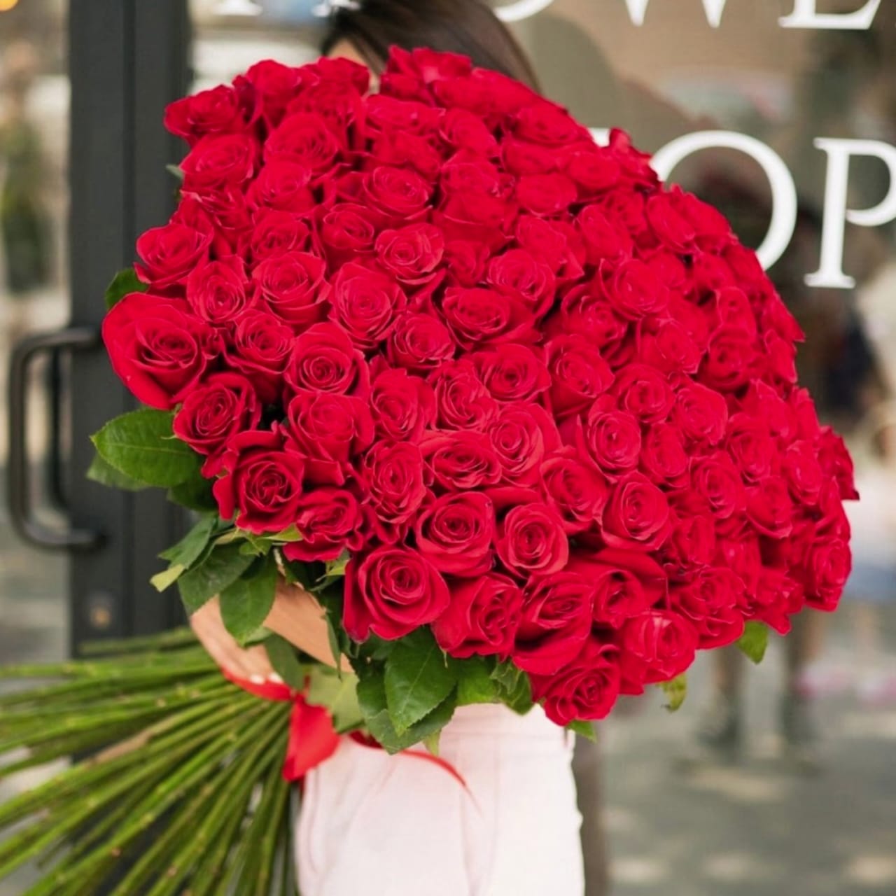 The Bloom Grand Collection